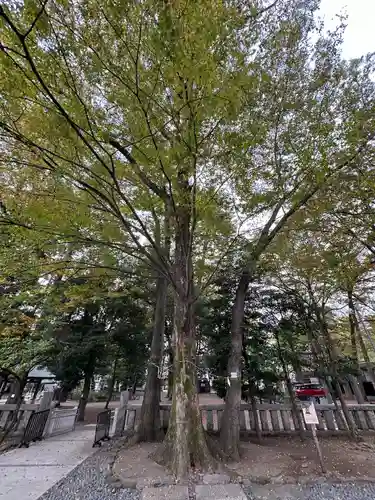布多天神社(東京都)