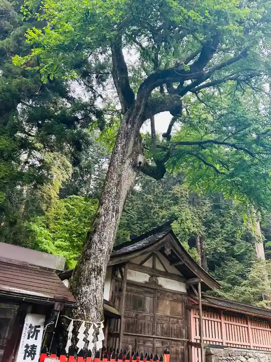 日吉大社(滋賀県)