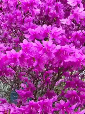 大山寺(神奈川県)