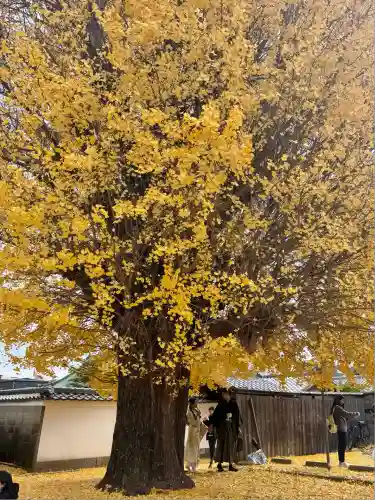 慧光寺(京都府)