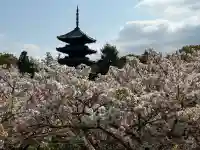 仁和寺(京都府)