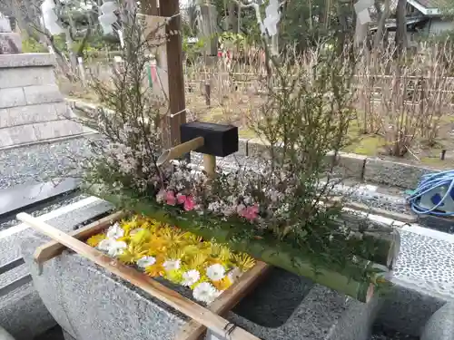 白山神社(新潟県)