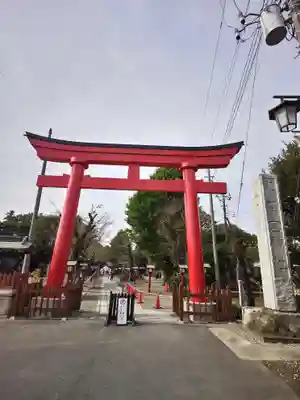 鷲宮神社(埼玉県)