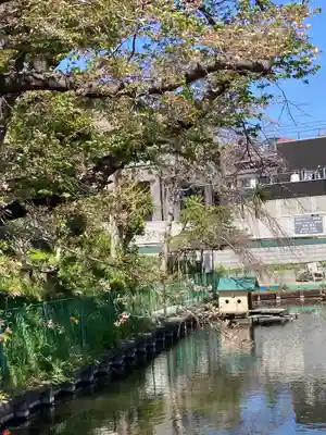 弁財天(下出縄)(神奈川県)