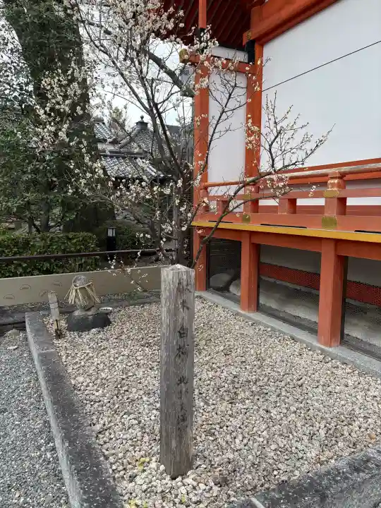 安井金比羅宮の{uncategorized: "未分類", other: "その他", undefined: "問題あり", building: "その他建物", grave: "お墓", sacred_gate: "鳥居", guardian: "狛犬", statue: "像", buddha: "仏像", history: "歴史", nature: "自然", garden: "庭園", animal: "動物", pagoda: "塔", temizu: "手水舎", mountain_gate: "山門・神門", sanctuary: "本殿・本堂", subordinate: "末社・摂社", art: "芸術", scenery: "景色", jizo: "地蔵", ema: "絵馬", goshuin: "御朱印", omikuji: "おみくじ", items: "授与品その他", amulet: "お守り", goshuincho: "御朱印帳", eats: "食事", festival: "お祭り", votive_dance: "神楽", shichigosan: "七五三参", wedding: "結婚式", experience: "体験その他", initially: "初詣", around: "周辺", anti_infection: "感染症対策"}