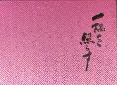 ピンク見開き御朱印帳