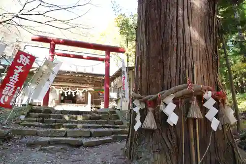 磐椅神社の鳥居