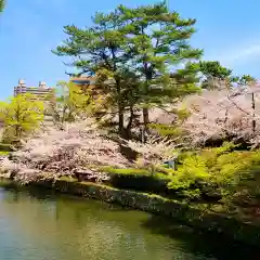 龍城神社の自然