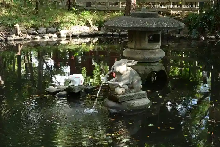 調神社(埼玉県)
