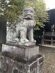 八雲神社の狛犬