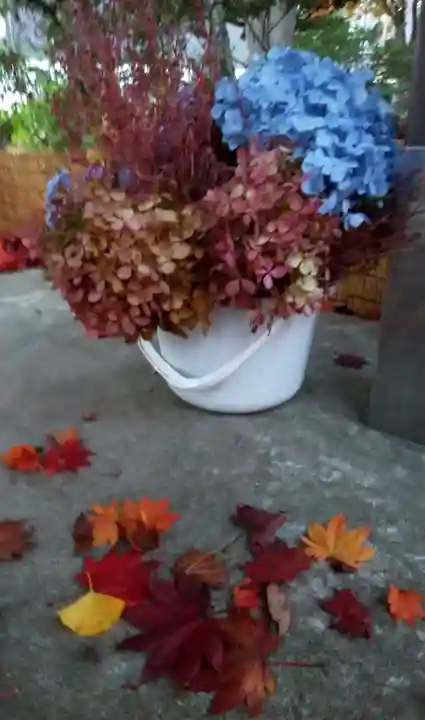 北広島市総鎮守 廣島神社の自然