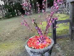 丹生都比売神社(和歌山県)