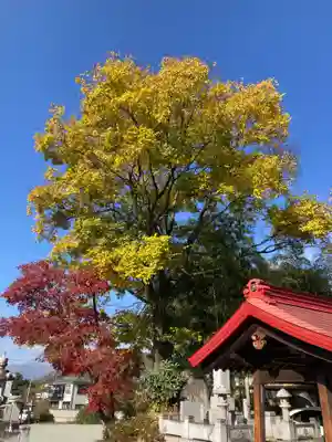法蓮寺(山梨県)