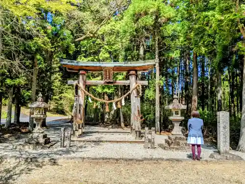 白山比咩神社の鳥居