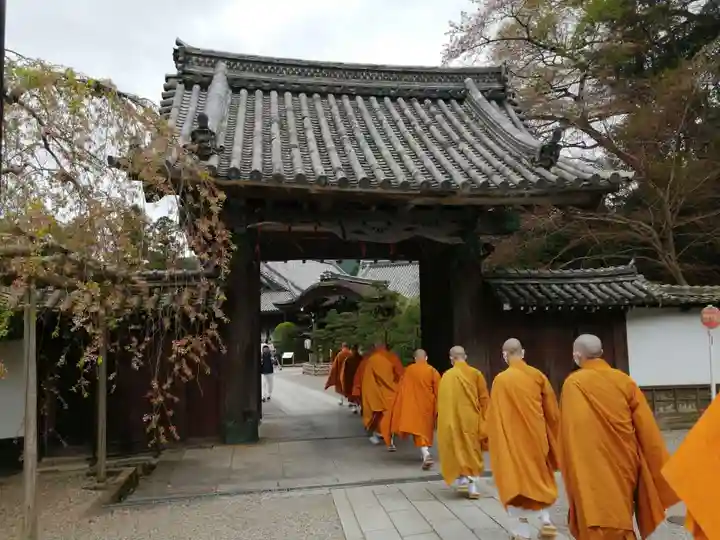 長谷寺の山門・神門