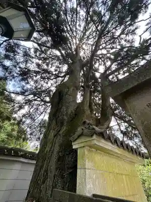 忉利天上寺の自然