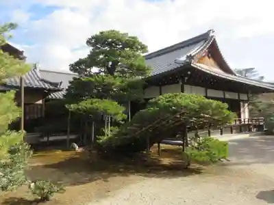 鹿苑寺(金閣寺)(京都府)