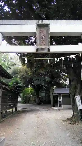 杵築大社の鳥居