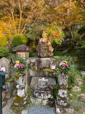 岡寺(龍蓋寺)(奈良県)