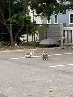 前原御嶽神社(千葉県)