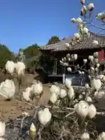 高平山遍照寺の自然