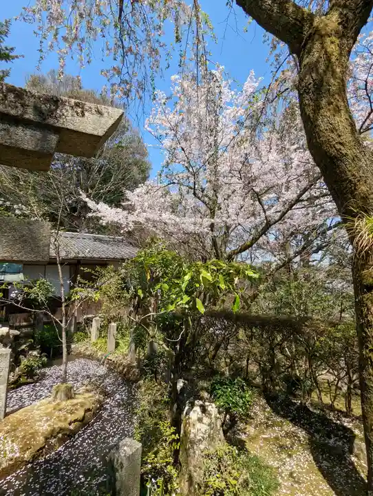 岩屋寺の自然