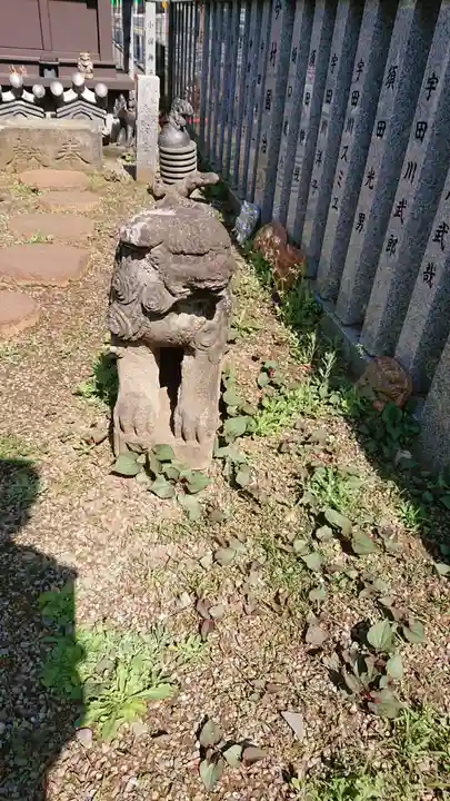 荻窪白山神社の狛犬