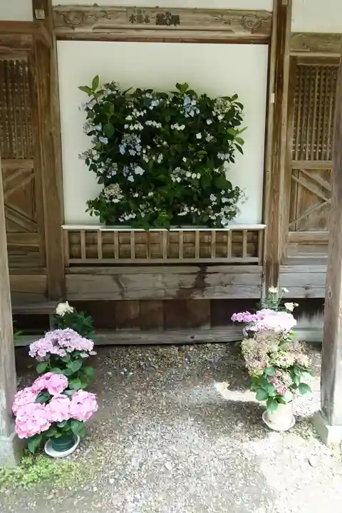 岡寺(龍蓋寺)(奈良県)