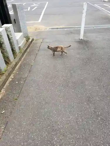 成田山新勝寺(千葉県)