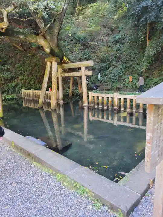 鹿島神宮(茨城県)