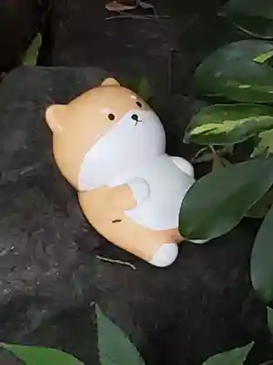 くまくま神社(導きの社 熊野町熊野神社)(東京都)