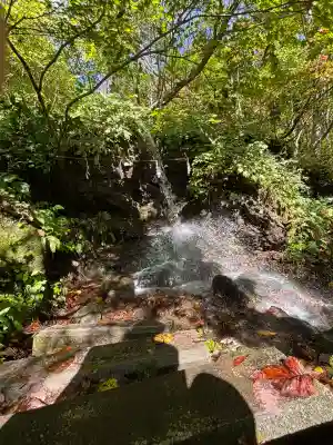戸隠神社奥社(長野県)