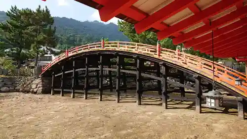 厳島神社の庭園