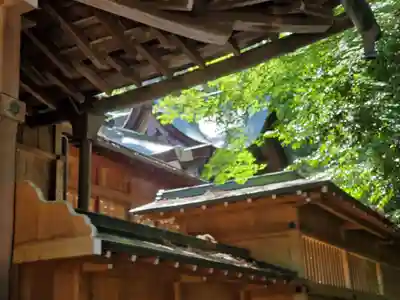 高宮神社の本殿・本堂