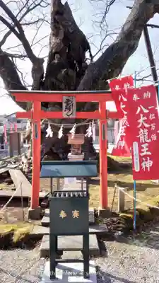 秩父今宮神社の末社・摂社
