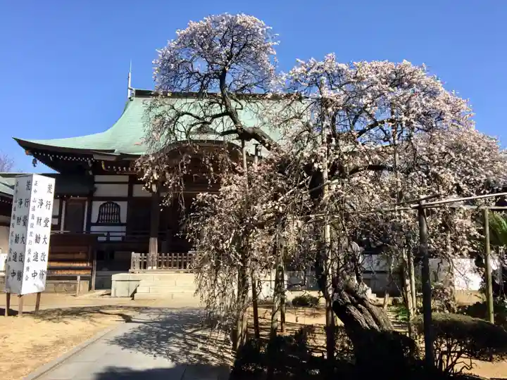 遠壽院の本殿・本堂