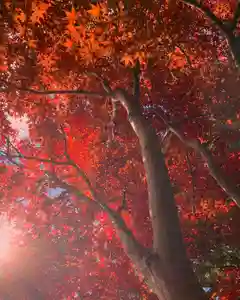 滑川神社 - 仕事と子どもの守り神(福島県)(2022年11月09日(水) 14時22分45秒投稿)