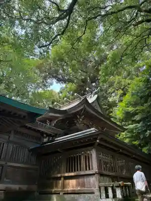生目神社(宮崎県)