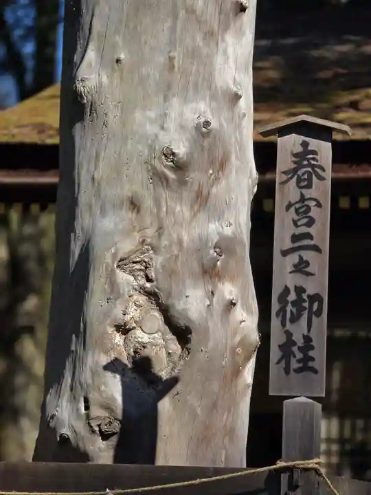 諏訪大社下社春宮(長野県)