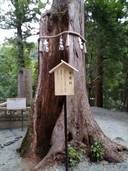 丹生川上神社(中社)(奈良県)