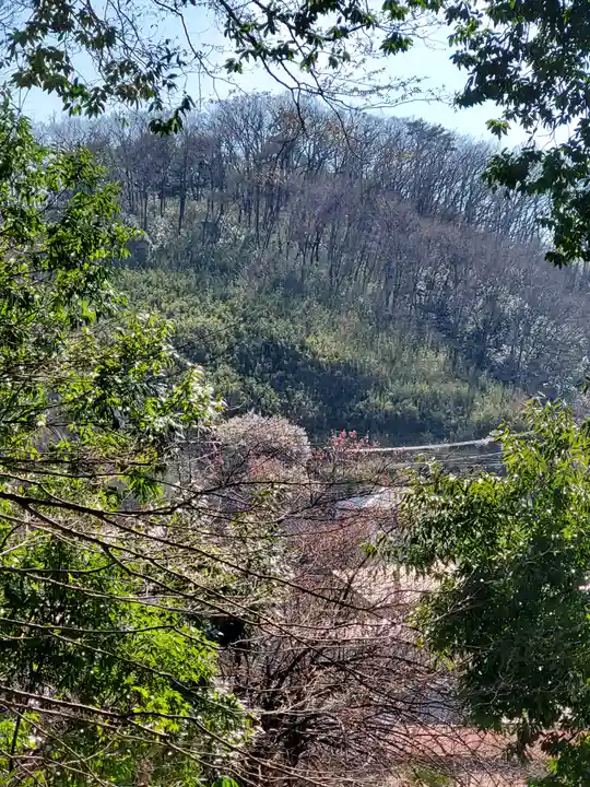日限稲荷神社(栃木県)