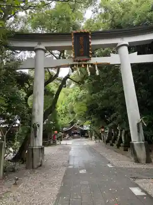 若宮八幡宮(高知県)