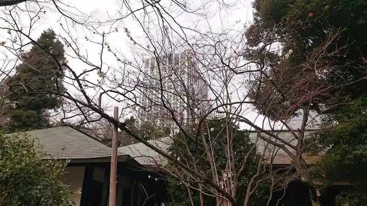 愛宕神社のその他建物