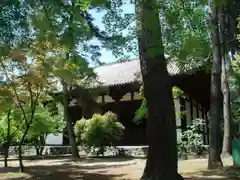 廣隆寺の建物その他