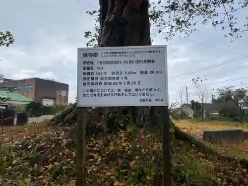 熊野神社の建物その他