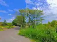 神明社(片原一色町如来)の自然