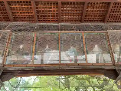 加納天満宮(岐阜県)