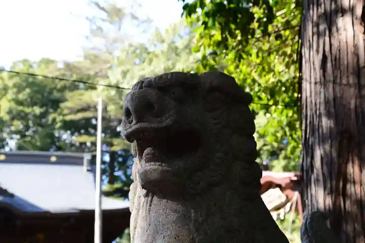 金井八幡神社の狛犬
