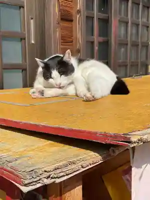 井際山 如意輪寺(愛知県)