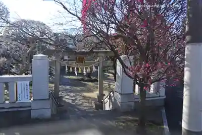 北野神社(東京都)